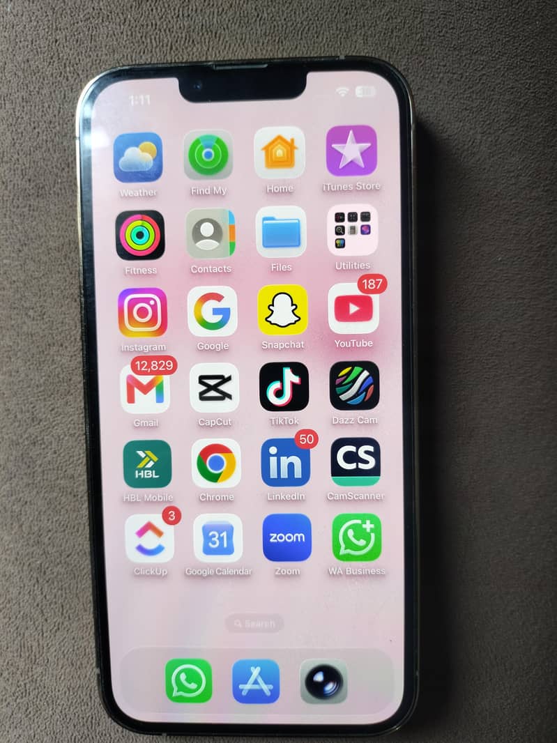 iphone 13 pro 1
