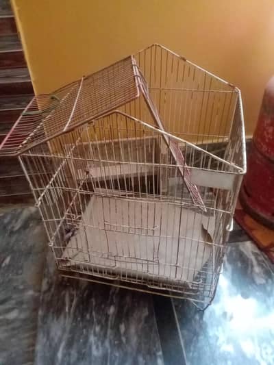 Bird Cage