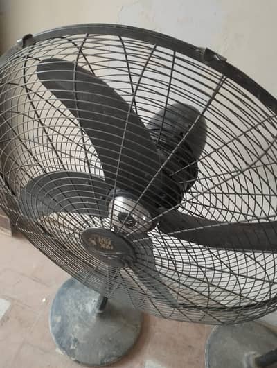 Pak fan