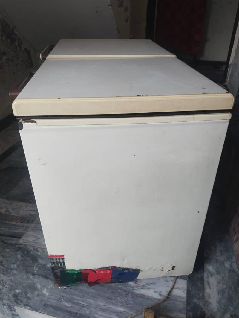 D Freezer 1