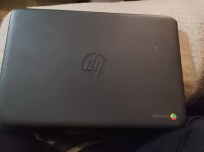 hp chrombook