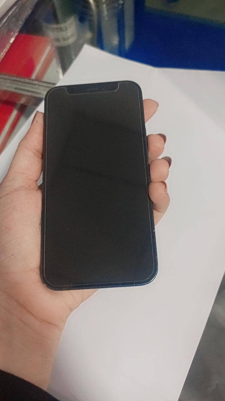 Apple iPhone 12 mini 1