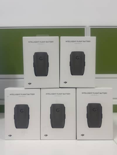 DJI MAVIC 2 PRO MAVIC 2 ENETERPRISE SELF HEATED