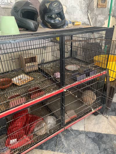 Birds cage partition vise