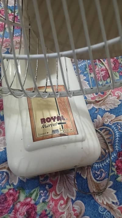 Royal fan