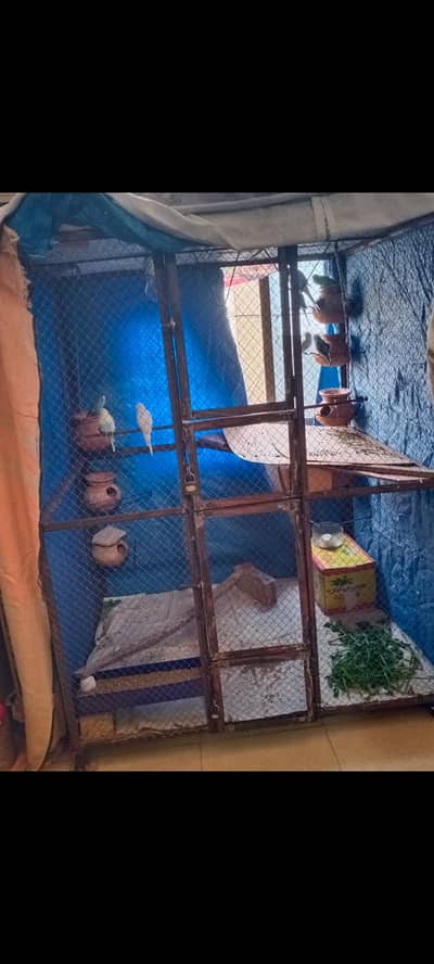 budgie. cage