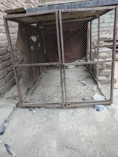 hen cage