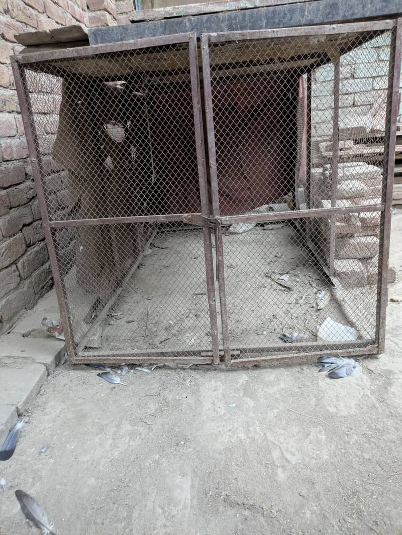 hen cage 0