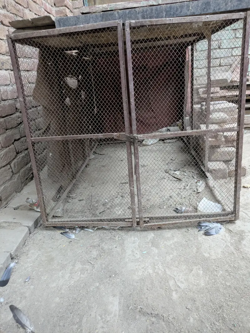 hen cage