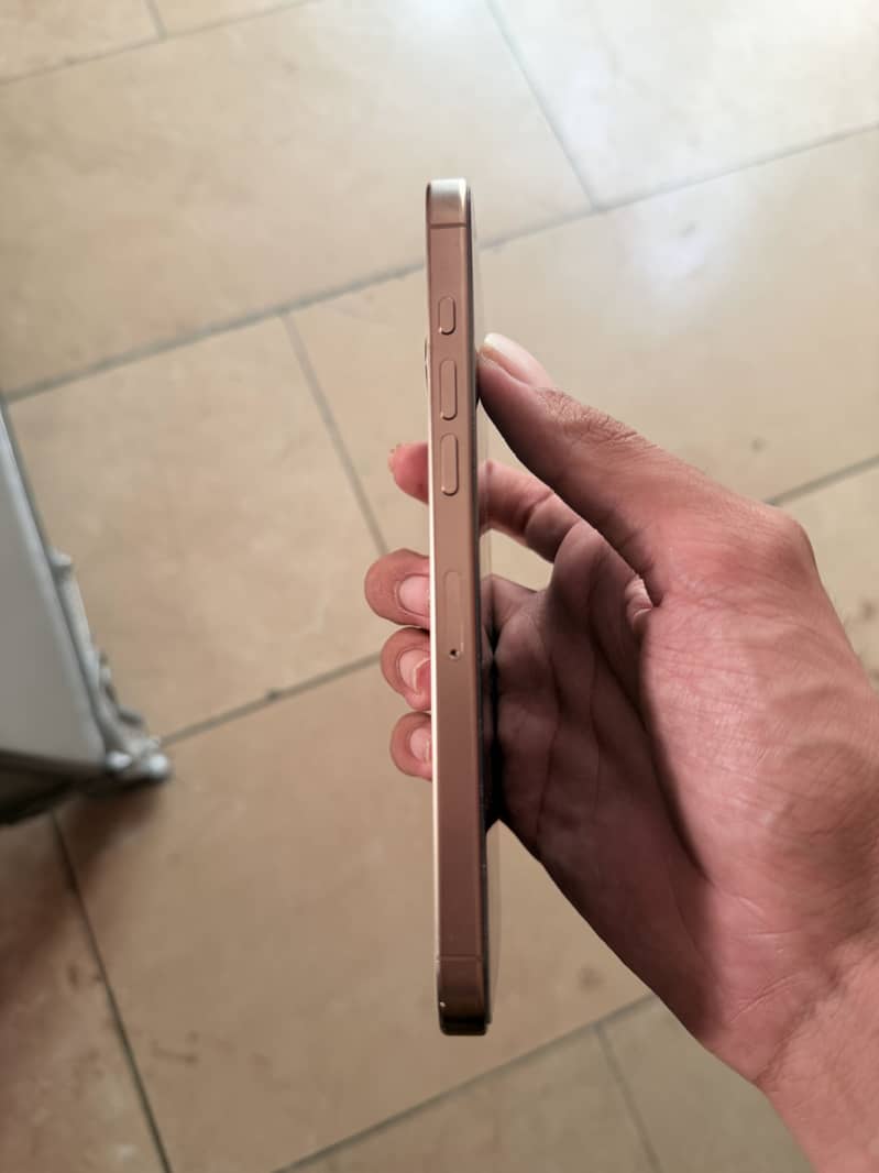 Apple iPhone 16 Pro Max 1