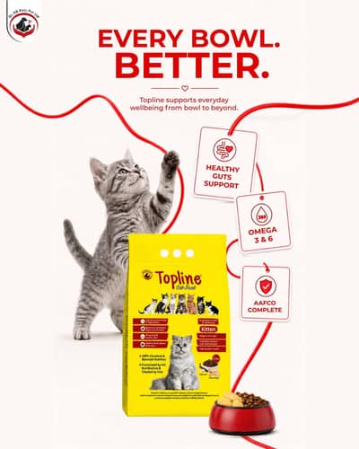 Cat Food (Adult + Kitten)