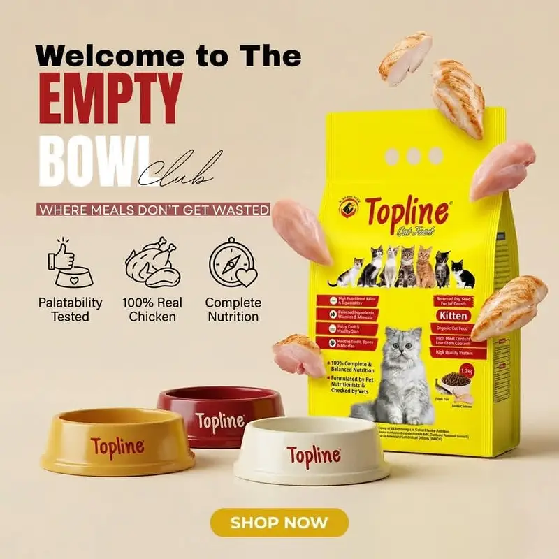 Cat Food (Adult + Kitten) — photo 2