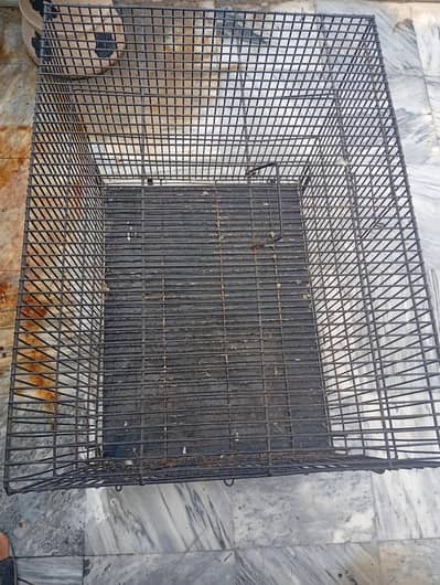 parrot cage