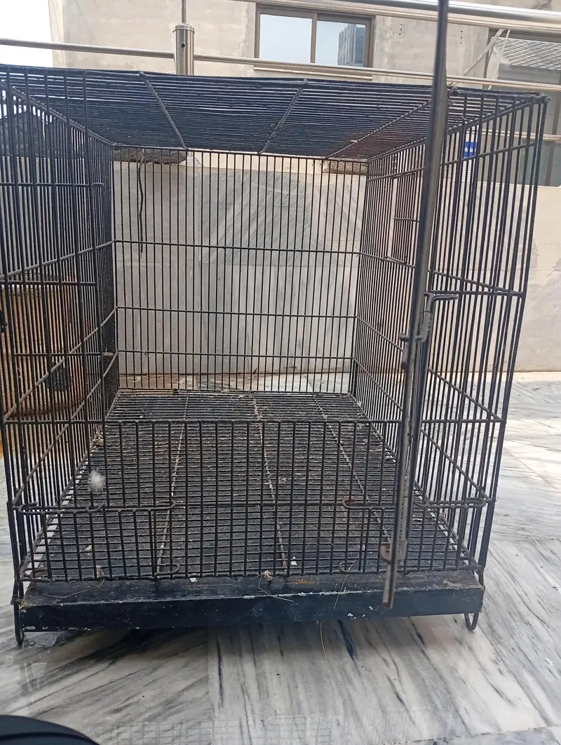 parrot cage — photo 2