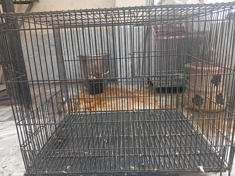 parrot cage — photo 3