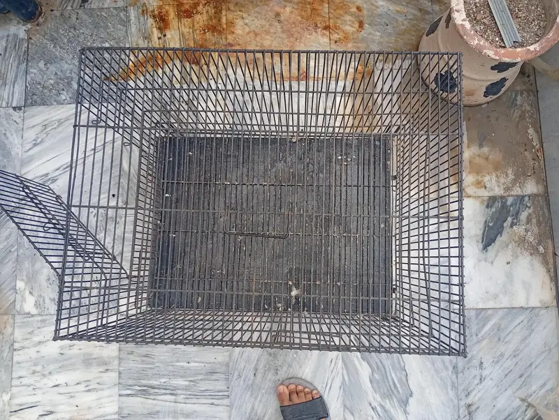 parrot cage — photo 4