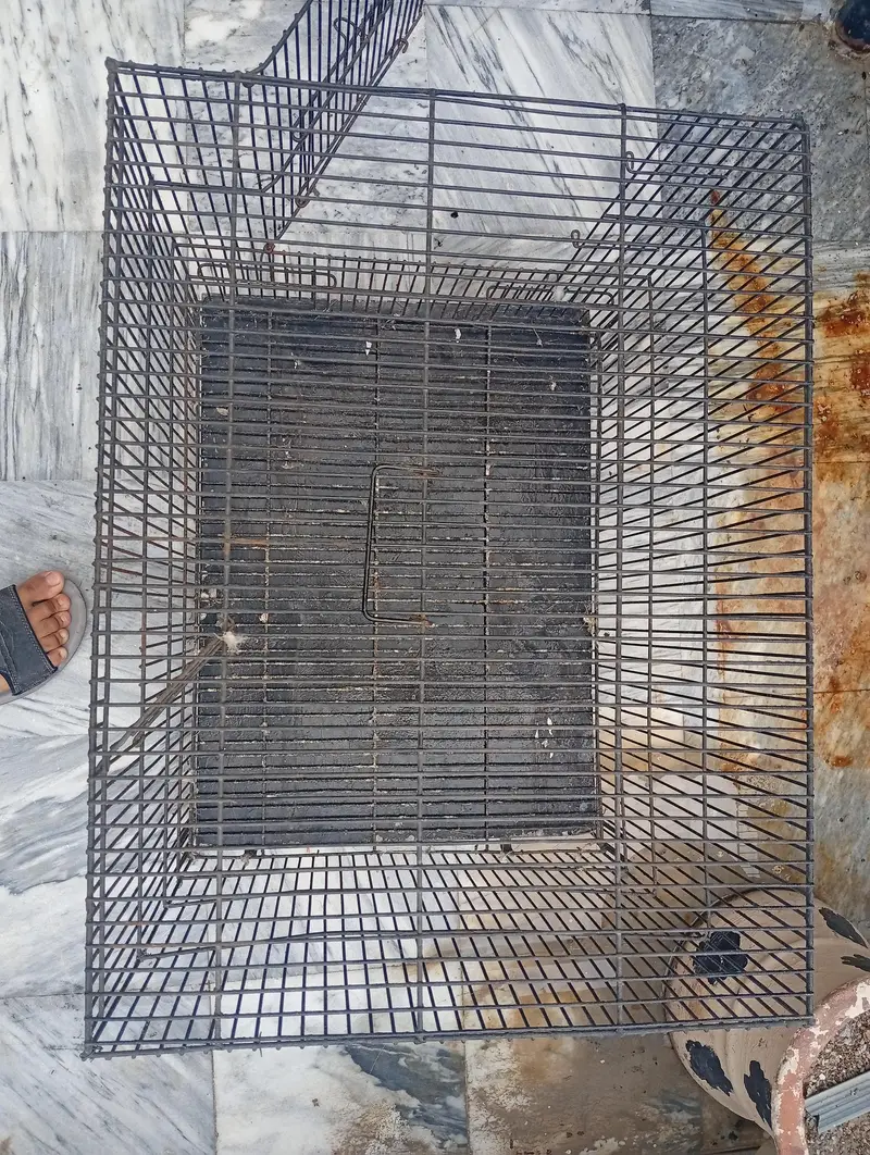 parrot cage — photo 5