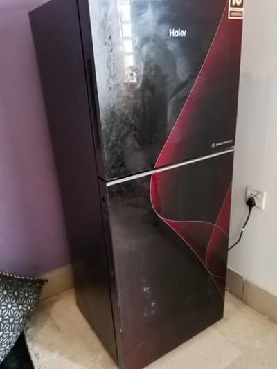 Haier IPGA small size fridge