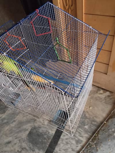parrot cage