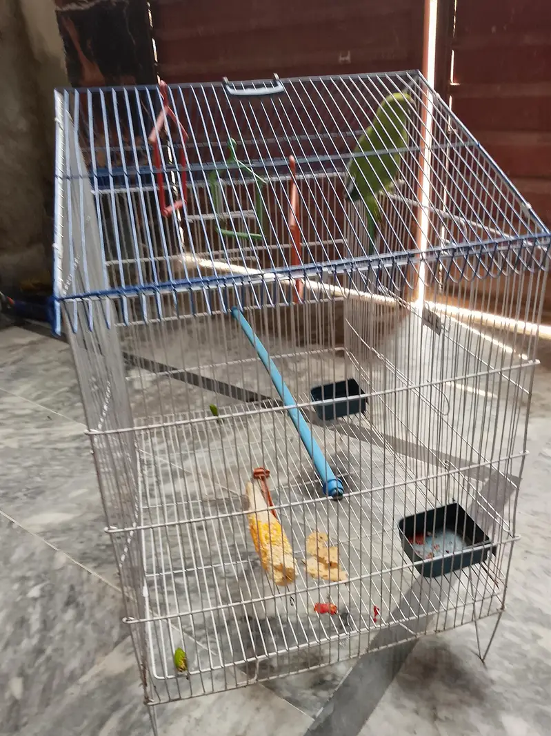 parrot cage — photo 2