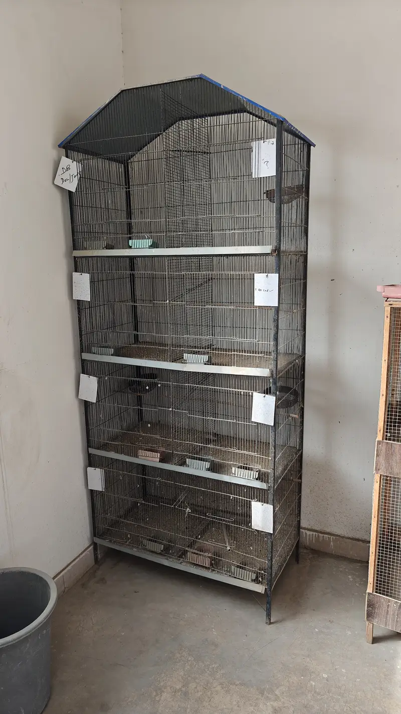 2 Cages For sell (Heavy Material) — photo 2