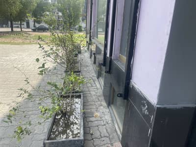 5 Marla Commercial (Ground Floor + Basement) Available For Rent.