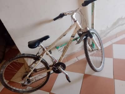 silver cycle