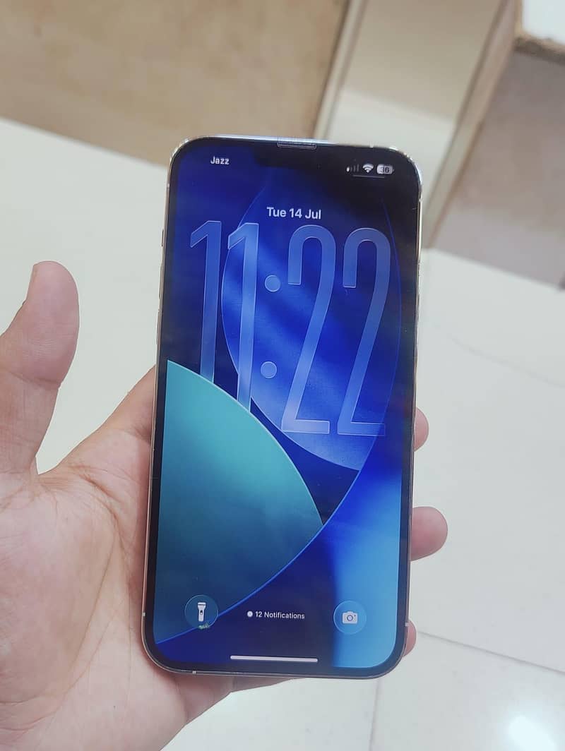 Apple iPhone 13 Pro Max 7