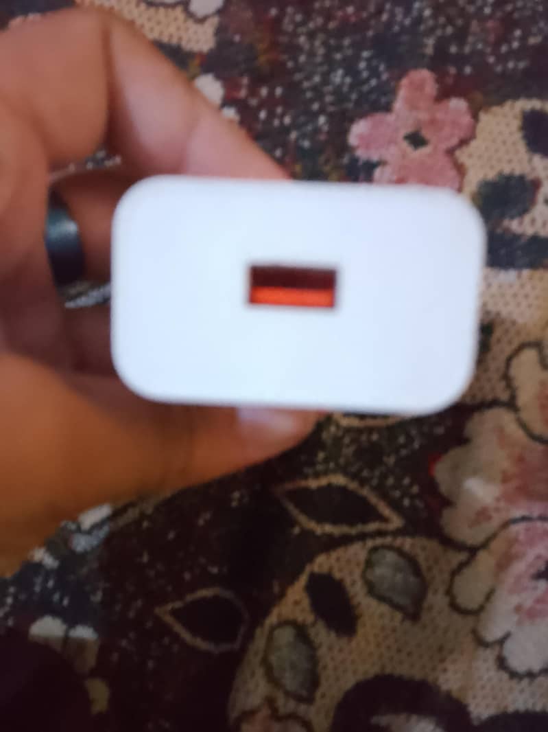 70W adapter 1
