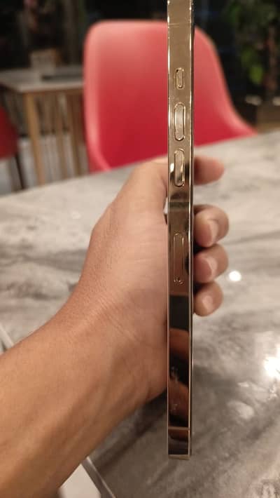 Apple iPhone 12 Pro Max