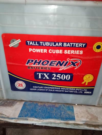 phonix tail tublar battery ( 1 year used)