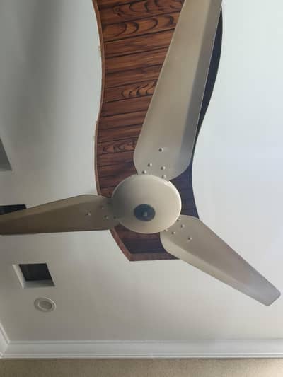 Ceiling Fan