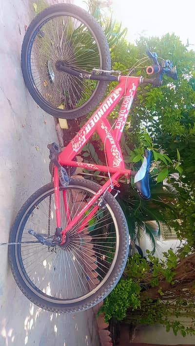 Thunder Sport Red Mountain Bike – Multi-Spoke Rims (Good Condition)