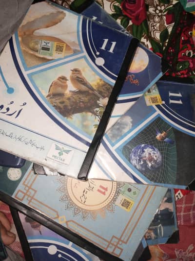 1st year book
