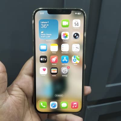 Apple iPhone 12 Pro Max
