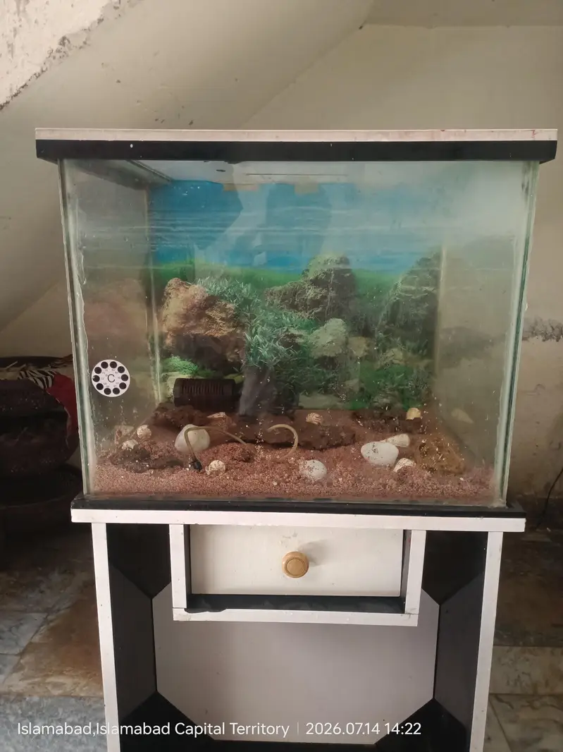 Fish Aquarium With Stand For sale Urgent — photo 2