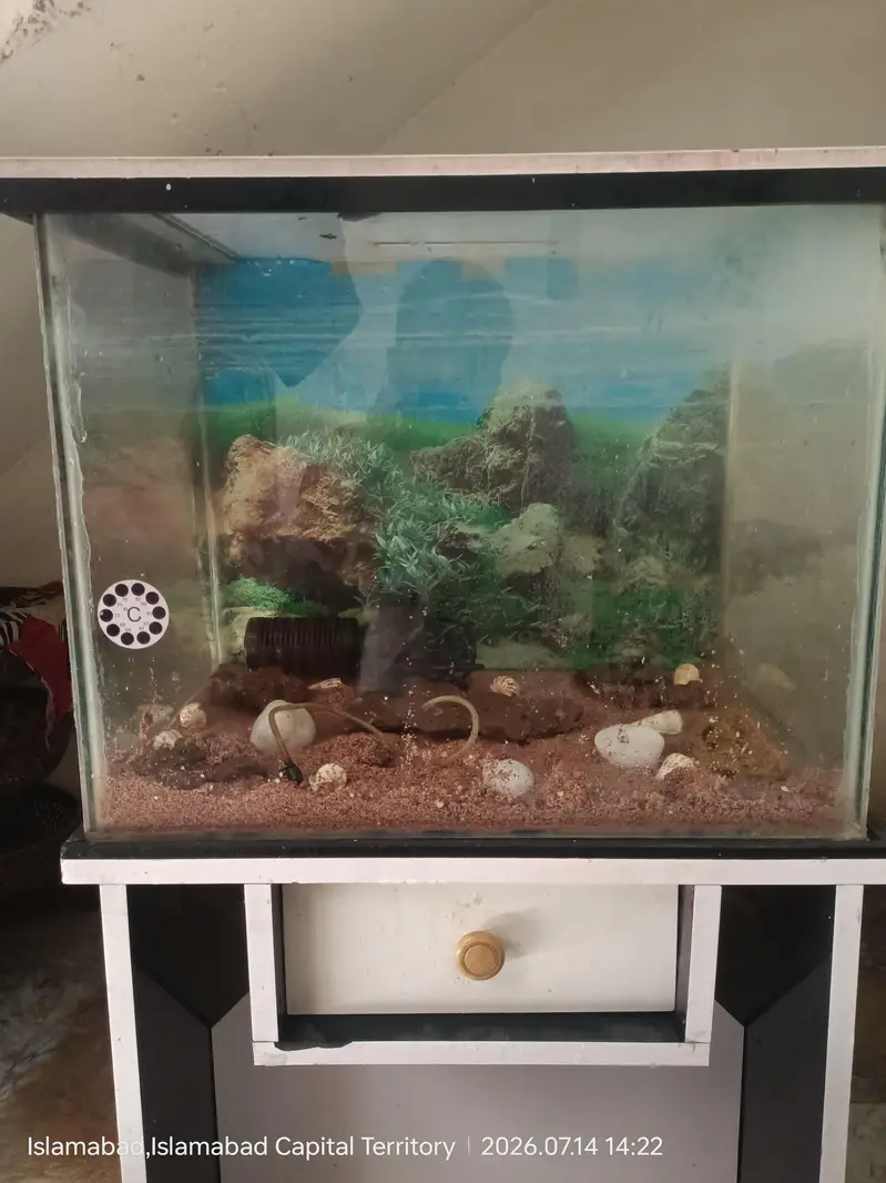 Fish Aquarium With Stand For sale Urgent — photo 3