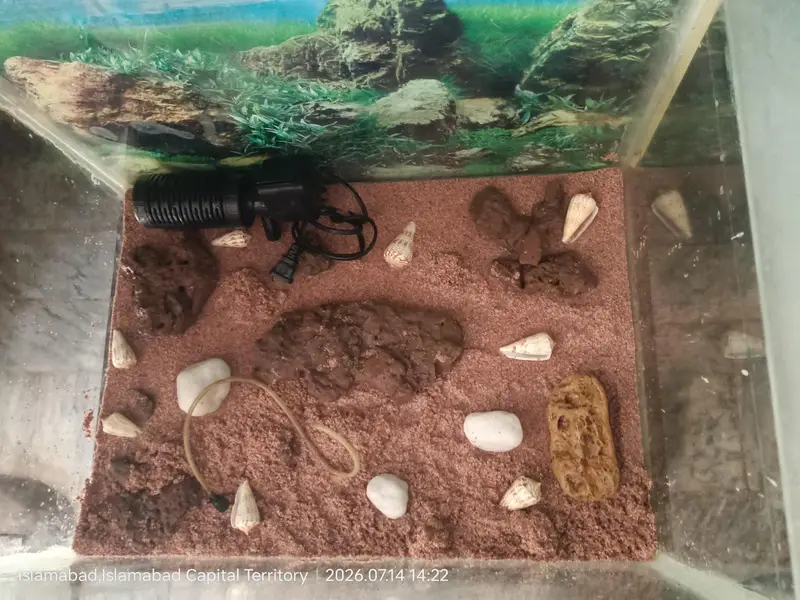 Fish Aquarium With Stand For sale Urgent — photo 4