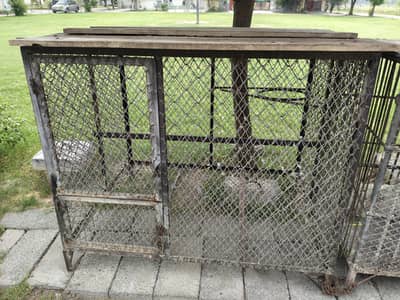 Raw parrots iron cages for sale (Read Add)