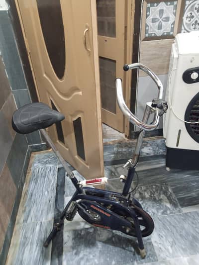 SOHRAB DUAL ACTION exercise bike