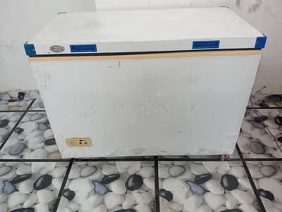 waves deep freezer single door jambo cooling/0321/0833328/