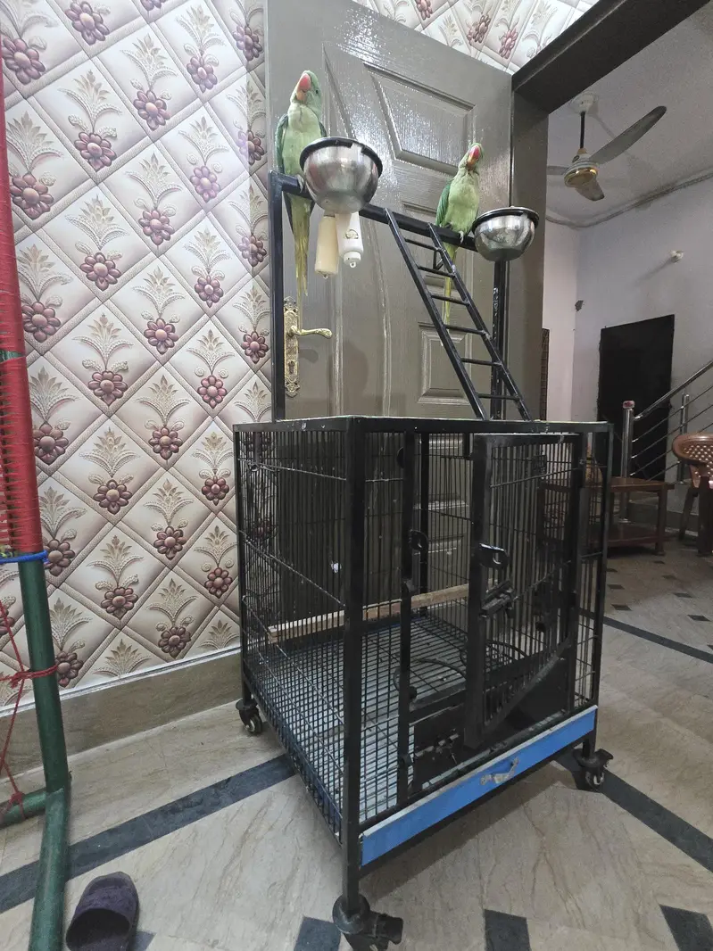 2×2 ka pinjra for sale 1 manth use