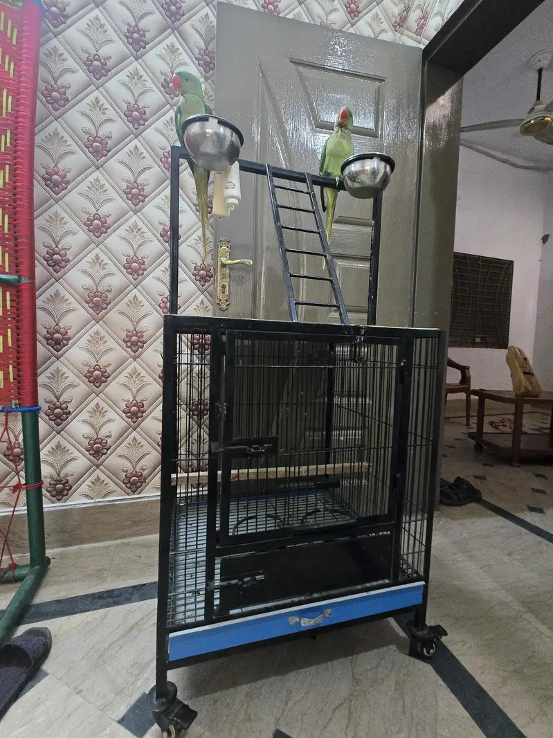 2×2 ka pinjra for sale 1 manth use — photo 3