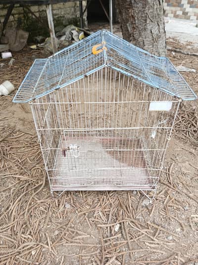 Birds cage