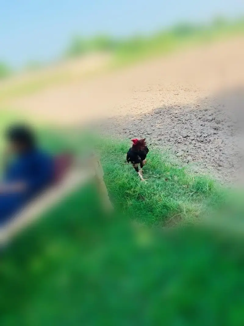 mianwali x jageri — photo 4