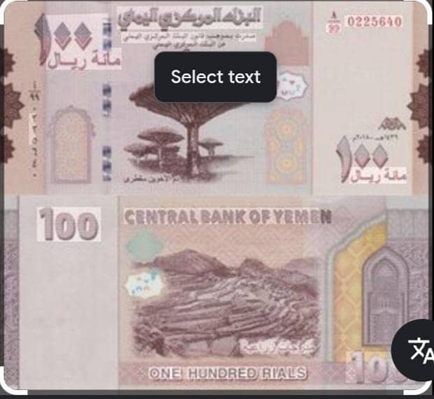 foreign currency 0