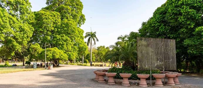 11 Marla Plot For Sale In National Town