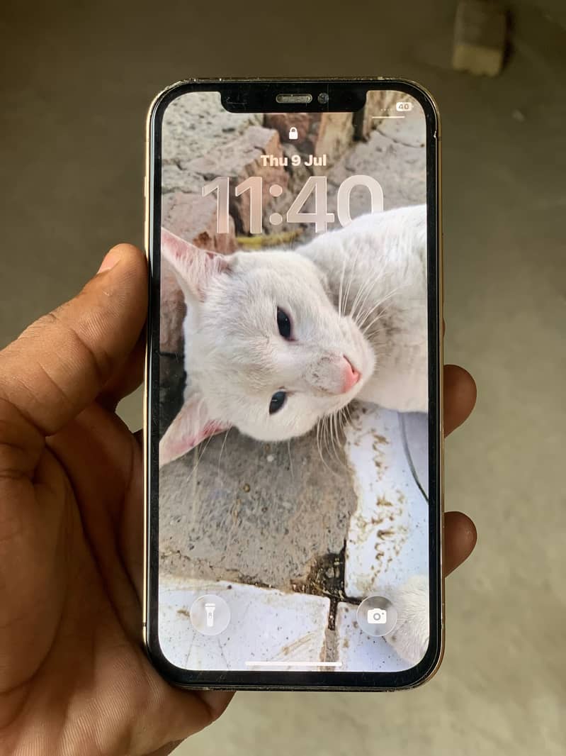 Apple iPhone 12 Pro 5