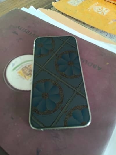 iPhone 13pro max pta approve