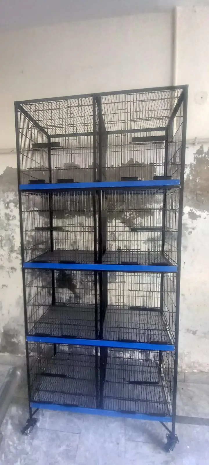Heavyweight Cage